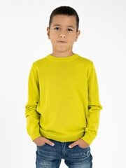Džemperis KIMKO Wasabi, zaļš cena un informācija | Zēnu jakas, džemperi, žaketes, vestes | 220.lv