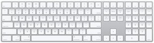 Apple Magic MQ052LB/A, balts cena un informācija | Klaviatūras | 220.lv