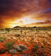 Fototapetes - Austrālijas ainava 225x250 cm cena un informācija | Fototapetes | 220.lv