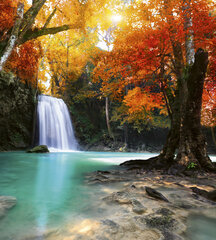 Фотообои - Красивый лесной водопад  225х250 см цена и информация | Фотообои | 220.lv