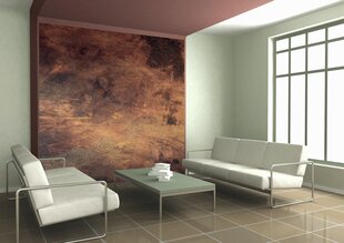 Fototapetes - Metāla siena no vara 225x250 cm cena un informācija | Fototapetes | 220.lv