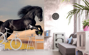 Фотообои - Черная лошадь 225х250 см цена и информация | Фотообои | 220.lv