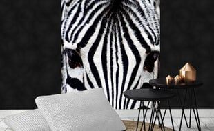 Fototapetes - Zebra 225x250 cm cena un informācija | Fototapetes | 220.lv
