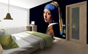 Fototapetes - Meitene ar pērļu auskaru 225x250 cm cena un informācija | Fototapetes | 220.lv