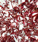 Fototapetes - Sarkanais kristāls 225x250 cm cena un informācija | Fototapetes | 220.lv