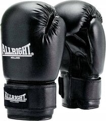 Боксерские перчатки Allright TRAINING PRO 12oz черный цвет цена и информация | Allright Волейбол | 220.lv
