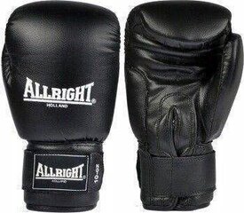 Боксерские перчатки Allright TRAINING PRO 10oz, черный цвет цена и информация | Боевые искусства | 220.lv
