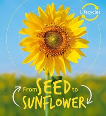 Lifecycles: Seed to Sunflower цена и информация | Книги для подростков и молодежи | 220.lv