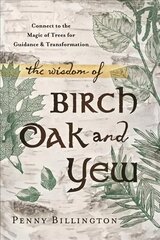Wisdom of Birch, Oak, and Yew: Connect to the Magic of Trees for Guidance and Transformation cena un informācija | Pašpalīdzības grāmatas | 220.lv