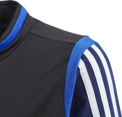 Джемпер Adidas Tiro 19, синий цена и информация | Футбольная форма и другие товары | 220.lv