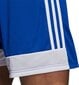 Šorti Adidas Tastigo 19, zili cena un informācija | Futbola formas un citas preces | 220.lv