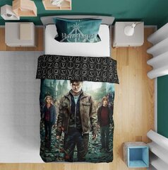 Комплект постельного белья Harry Potter, 135x200 см, 2 части цена и информация | Постельное белье | 220.lv