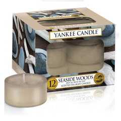 Aromātiskās sveces Yankee Candle Seaside Woods, 12 x 9.8 g cena un informācija | Sveces un svečturi | 220.lv