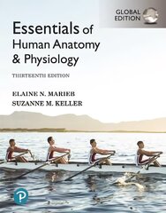 Essentials of Human Anatomy & Physiology, Global Edition 13th edition cena un informācija | Ekonomikas grāmatas | 220.lv