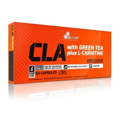 Olimp CLA & Green Tea + L-Carnitine, 60 kapsulas cena un informācija | L-karnitīns | 220.lv