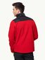 Vīriešu džemperis, JACK WOLFSKIN, sarkans cena un informācija | Vīriešu džemperi | 220.lv