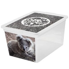 Branq mantu kaste Box Deco, 15 l cena un informācija | Veļas grozi un mantu uzglabāšanas kastes | 220.lv