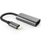 Co2 adapteris klēpjdatoram, datoram, USB-C - HDMI 4K, Windows, Mac OS, Linux, pelēks цена и информация | Adapteri un USB centrmezgli | 220.lv