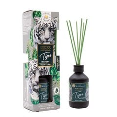 Mājas aromāts ar kociņiem La casa de los aromas Tiger Mister, 100 ml cena un informācija | Mājas aromāti | 220.lv