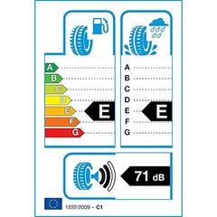 Toyo Tires PROXES R888R 225/50ZR15 цена и информация | Летняя резина | 220.lv