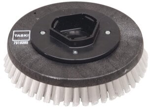 Scrubbing brush 28 cm for TASKI Swingo 955/1255 цена и информация | Принадлежности для моющего оборудования | 220.lv
