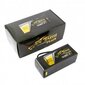 Tattu Plus baterija Gens Ace 16000mAh 22.2V 15C 6S1P LiPo AS150+XT150 cena un informācija | Akumulatori | 220.lv