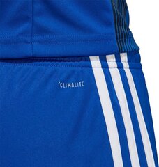 Шорты Adidas Tastigo 19, синие цена и информация | Футбольная форма и другие товары | 220.lv
