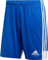 Шорты Adidas Tastigo 19, синие цена и информация | Футбольная форма и другие товары | 220.lv