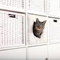 Trixi kaķu būris kuba formā Cuddly, 33x33x37 cm, 44090 cena un informācija | Suņu gultas, spilveni, būdas | 220.lv