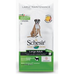 SCHESIR Large Adult Lamb, 12kg - sausā barība ar jēru lielo šķirņu pieaugušiem suņiem, Z 020099 cena un informācija | Sausā barība suņiem | 220.lv