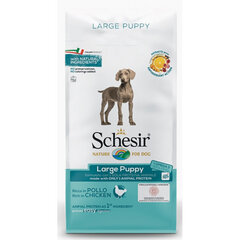 SCHESIR Large Puppy, 3kg - sausā barība ar vistu lielo šķirņu kucēniem, grūsnām un laktējošām kucēm, Z 020090 cena un informācija | Sausā barība suņiem | 220.lv