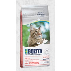 Сухой корм без пшеницы с лососем Bozita Wheat Free Large Salmon для кошек крупных пород, Z 010101, 10 кг цена и информация | Bozita Товары для животных | 220.lv