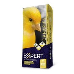 Witte Molen Expert Base Canaries, 20kg - barība kanārijputniņiem, Z 320158 cena un informācija | Putnu barība | 220.lv
