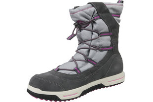 Зимние ботинки Timberland Snow Stomper, серые цена и информация | Laste Kingad | 220.lv