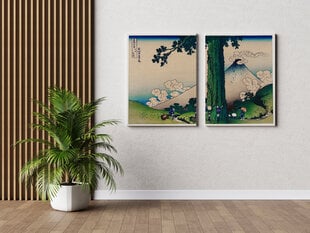 Glezna 2 daļas Misima pāreja Kai provincē, Kacušika Hokusai, 140x100 cm, Wolf Kult cena un informācija | Gleznas | 220.lv