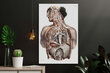 Glezna Anatomija II, 40x60 cm, Wolf Kult цена и информация | Gleznas | 220.lv
