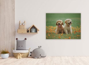 Картина Два щенка, 100x70 см цена и информация | Картины | 220.lv