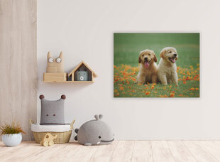 Картина Два щенка, 30x40 см цена и информация | Картины | 220.lv