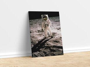 Картина Эдвин Олдрин на Луне, 30x40 см цена и информация | Картины | 220.lv