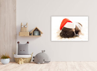 Картина Спящий щенок, 100x70 см цена и информация | Картины | 220.lv