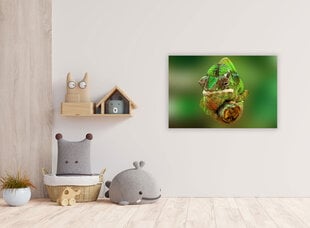 Картина Хамелеон, 100x70 см цена и информация | Картины | 220.lv