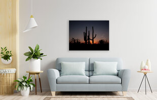 Glezna Kaktusi, 100x70 cm cena un informācija | Gleznas | 220.lv
