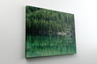 Glezna Kanādas meži, 100x70 cm cena un informācija | Gleznas | 220.lv