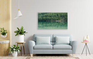 Картина Канадские леса, 100x70 см цена и информация | Картины | 220.lv