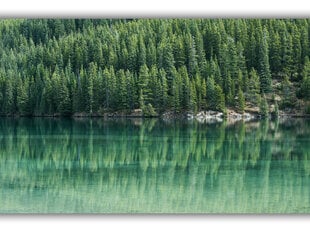 Glezna Kanādas meži, 60x80 cm cena un informācija | Gleznas | 220.lv