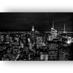 Картина Панорама Манхэттена, 100x70 см цена и информация | Картины | 220.lv