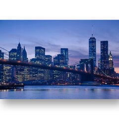 Картина Панорама Манхэттена, 100x70 см, Wolf Kult цена и информация | Картины | 220.lv