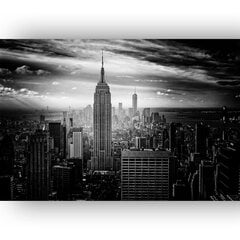 Картина Черно-белый Манхэттен, 30x40 см цена и информация | Картины | 220.lv