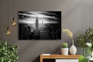 Картина Черно-белый Манхэттен, 40x60 см цена и информация | Картины | 220.lv