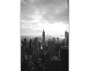 Картина Черно-белый Нью-Йорк, 40x60 см цена и информация | Картины | 220.lv